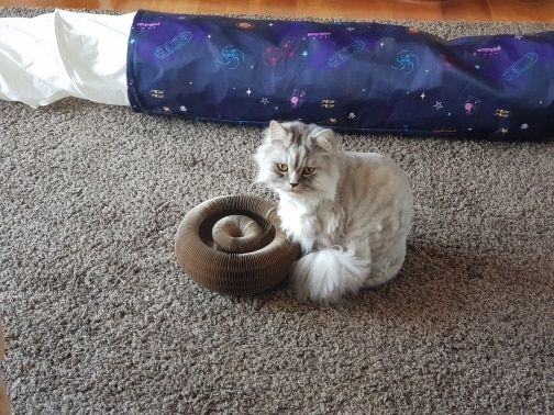 Sophie T.