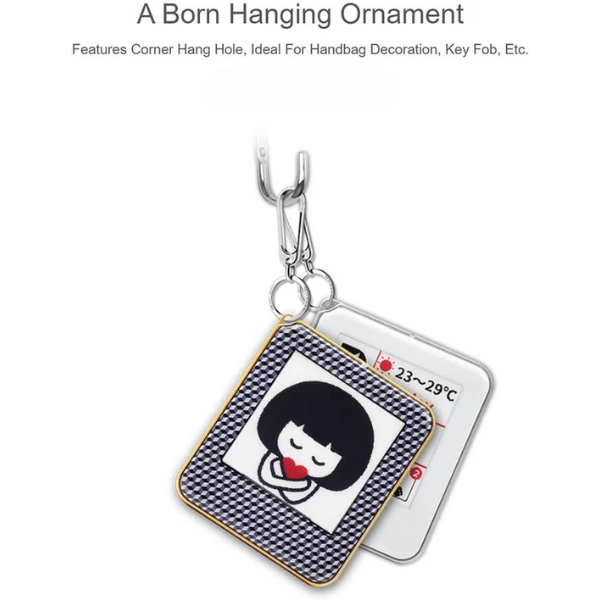 MemoLock™ - E-Ink KeyChain – Comet Gift