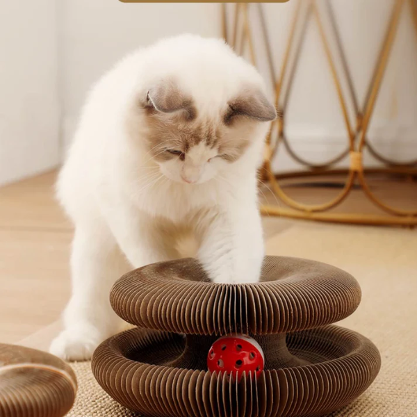 KittiKoil™ Accordion Cat Toy
