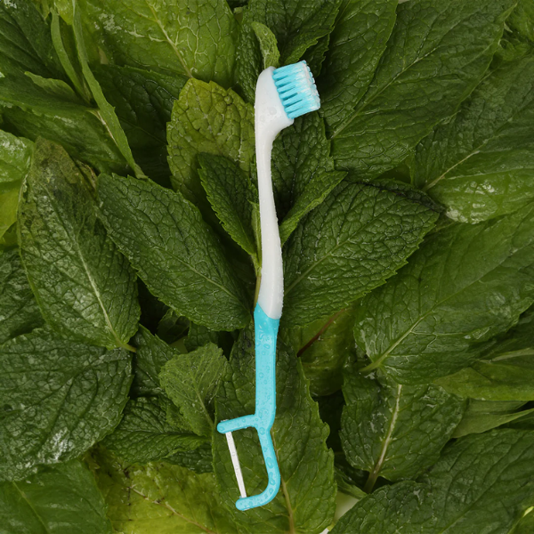 SmileGo™ 4-in-1 Portable Travel Toothbrush