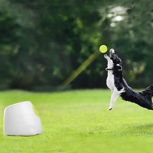 DogPro™ Automatic Ball Launcher